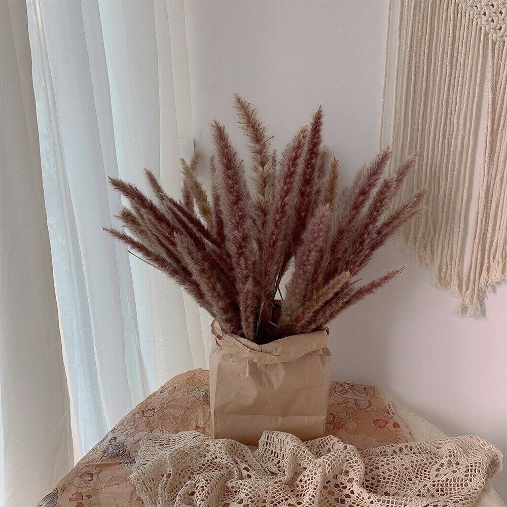 60PCS Natural Dried Pampas Grass Reed Flower Bunch DIY Flower Home Decor Supply