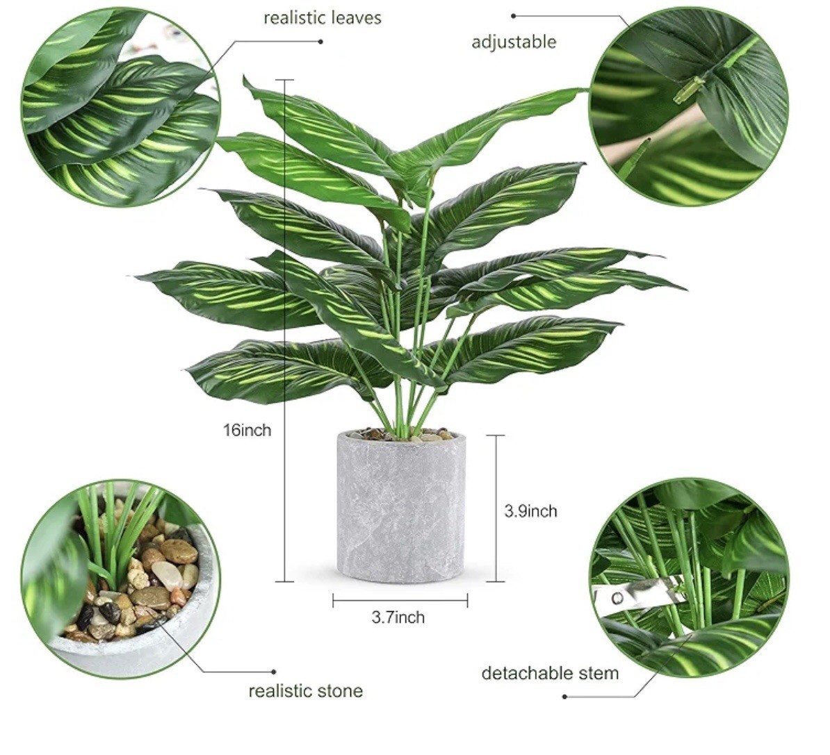 2 Small Artificial Fake Faux Plants➕Pots➕Stones 🌱Monstera➕Apple Leaf 📏16” Tall