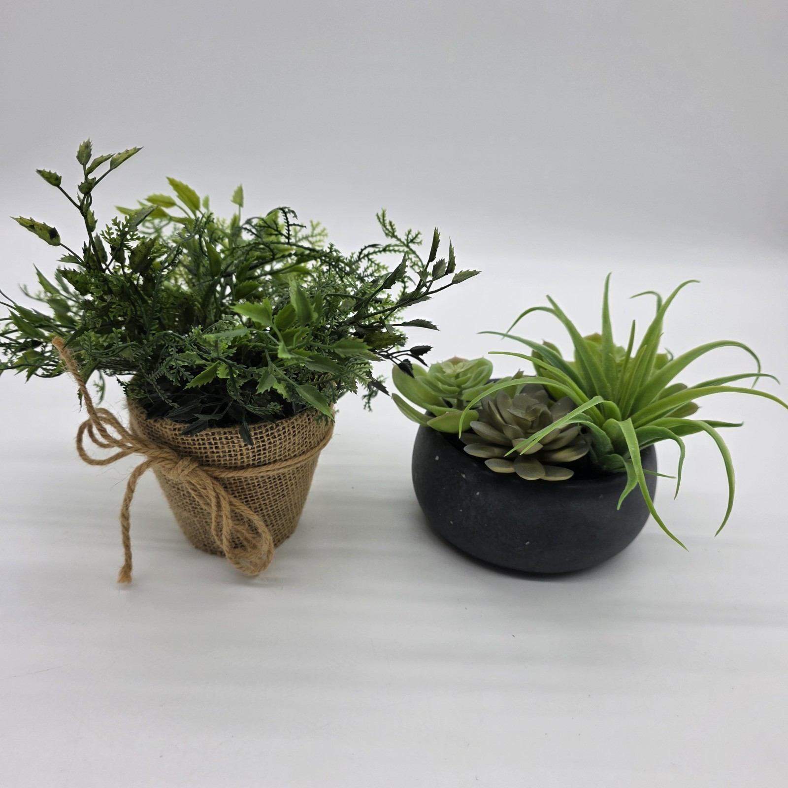 Set of 2 Artificial Potted Plants Faux Greenery Succulent & Fern Home Decor