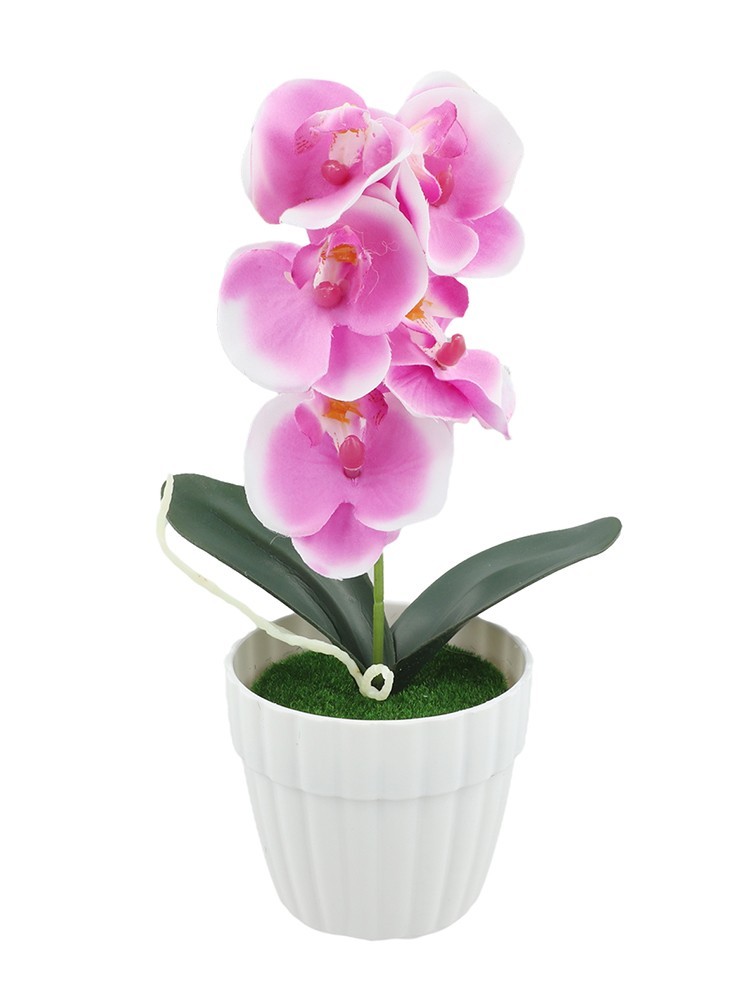 Small Simulation Phalaenopsis Bonsai Flower for Indoor Decorative Display