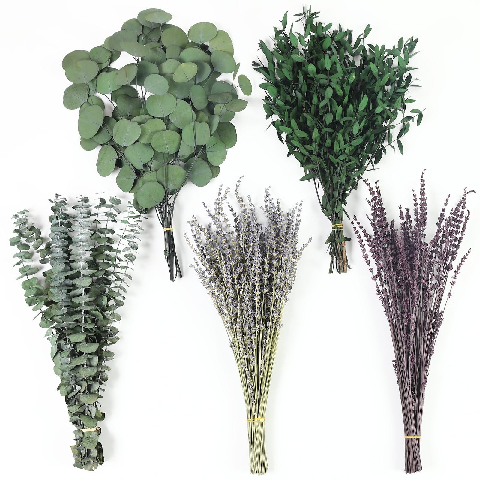 120+ Pcs Mixed Dried Eucalyptus & Lavender Flowers for Shower, Preserved Natu…