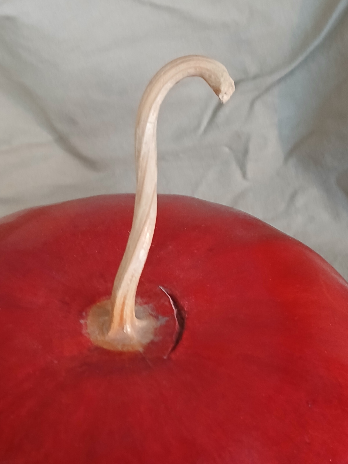 Large Apple Fall Perfect Natural Gourd Dried Decor Painted Red6 x 8 in