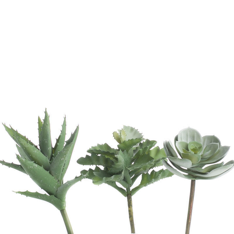 Trio of Assorted Artificial Dusty Green Succulents for Crafting, Creating