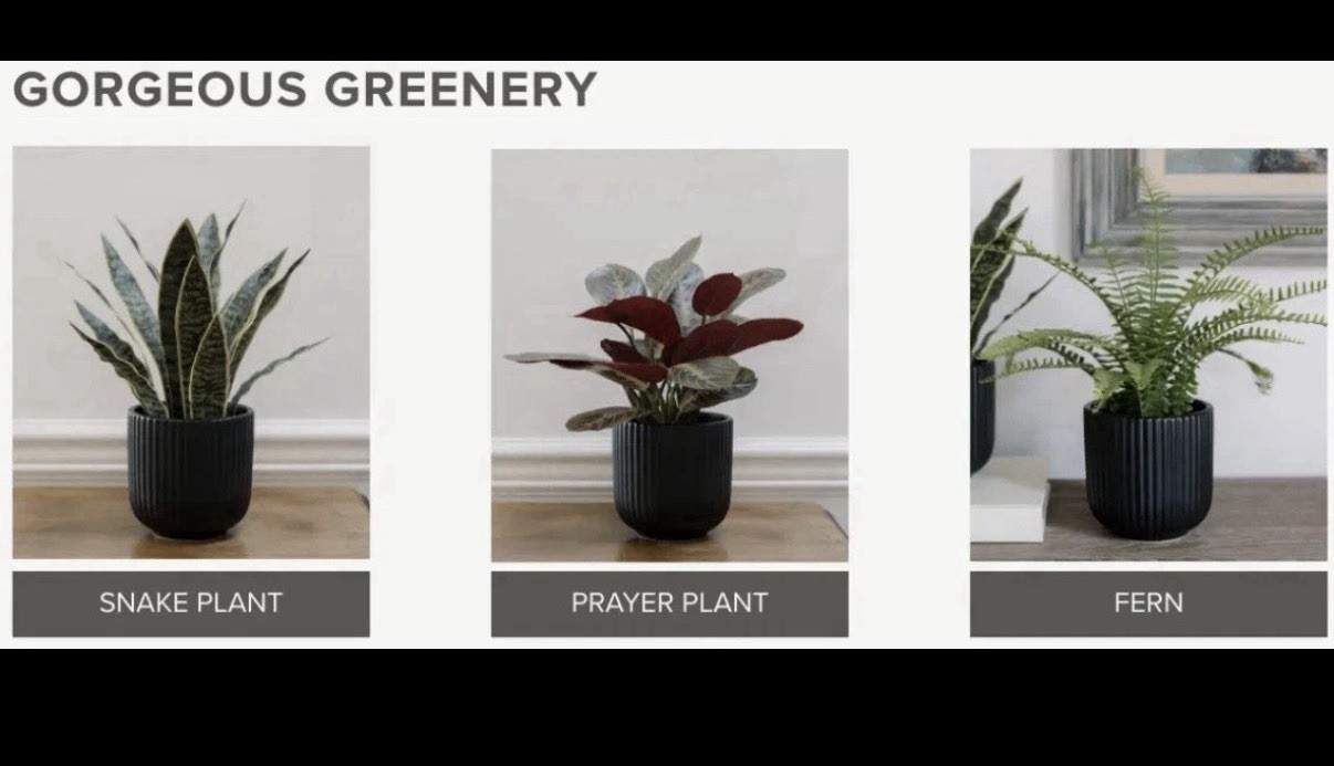 CGH Faux Decorative Plant Trio Indoor Greenery Home Office Decor NEW