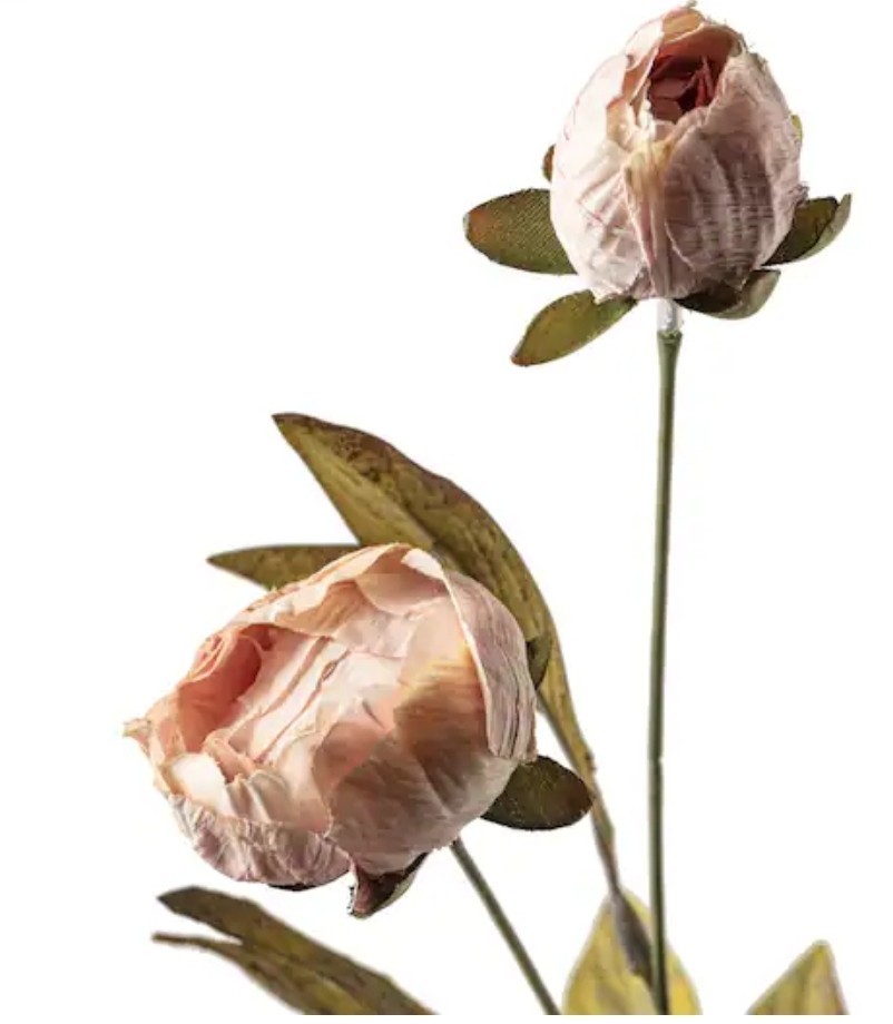 🔥 New in Box 8 Ashland Tan Peony 28″ Stems Michael’s Store VIRAL RARE!