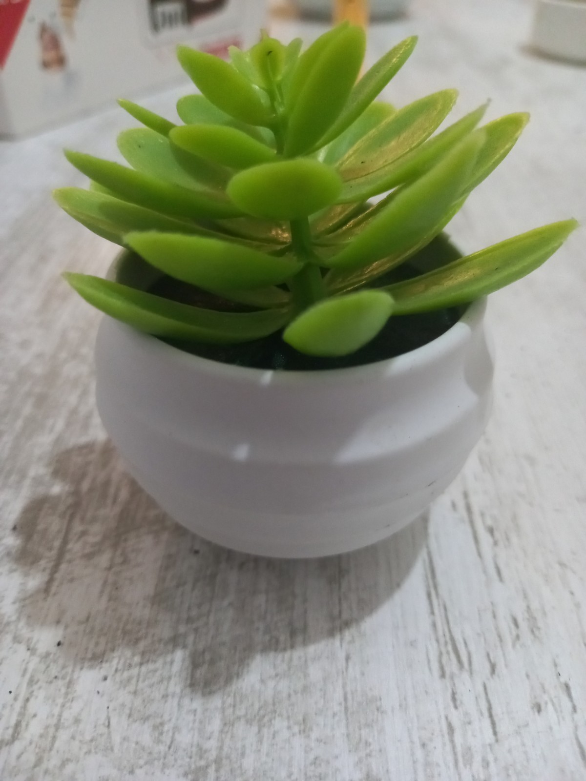 Artificial succulent plant for decoration