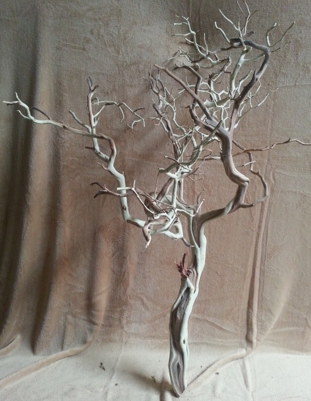 Sandblasted Manzanita / Home Decor / Event Decor / Wedding / Reptiles / Floral