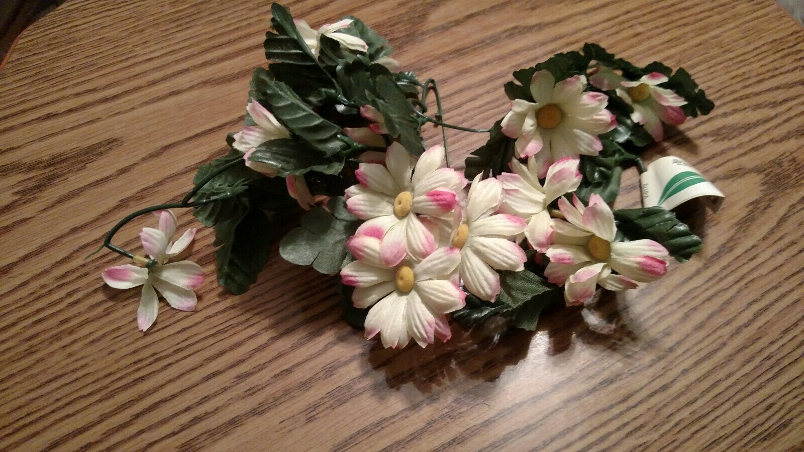 DAISY FLOWER VINES YELLOW CENTER WHITE PETALS WITH PINK TIPS IN COLOR