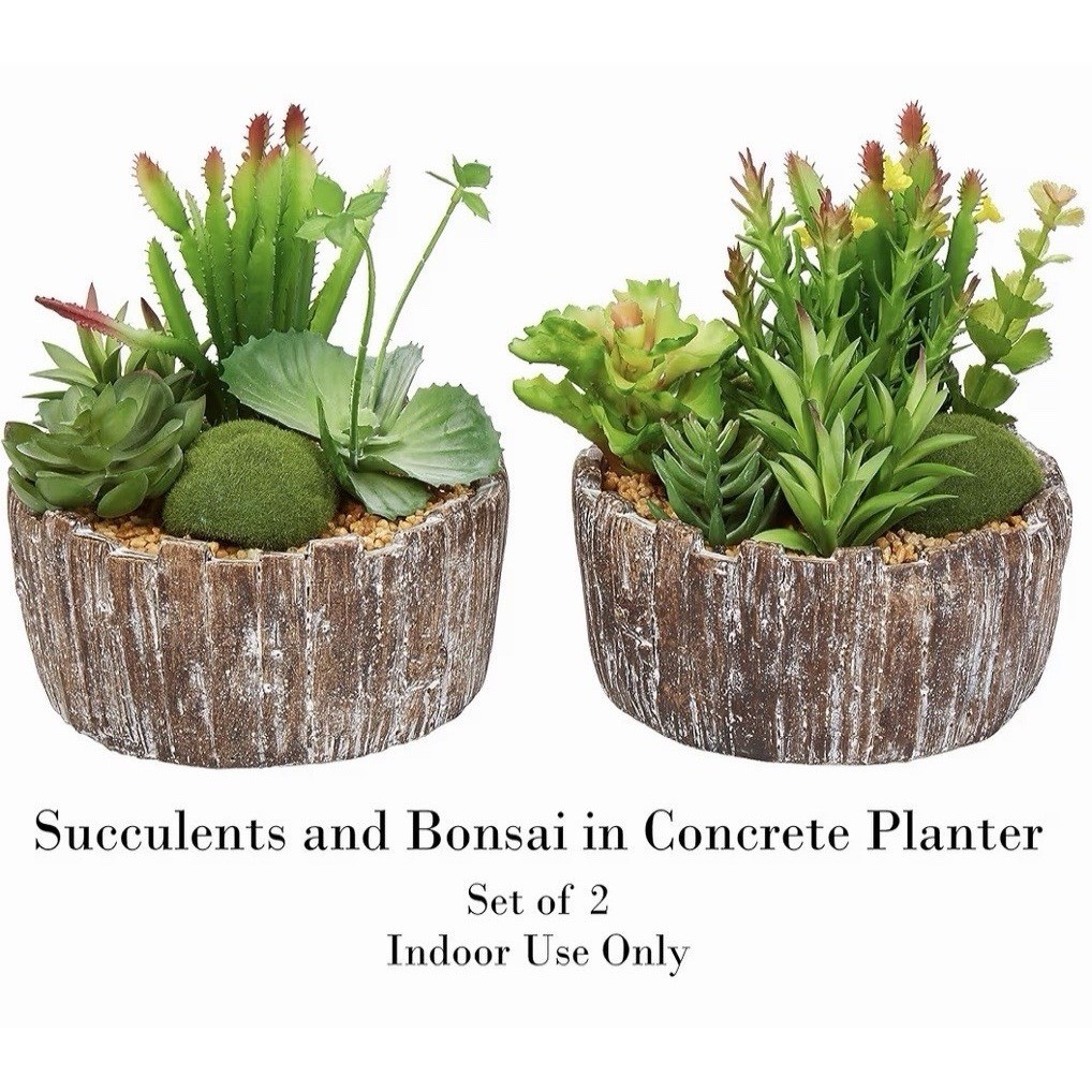 Pure Garden Set of 2 Faux Succulents in Concrete Planters 50-LG1146 8in Tall