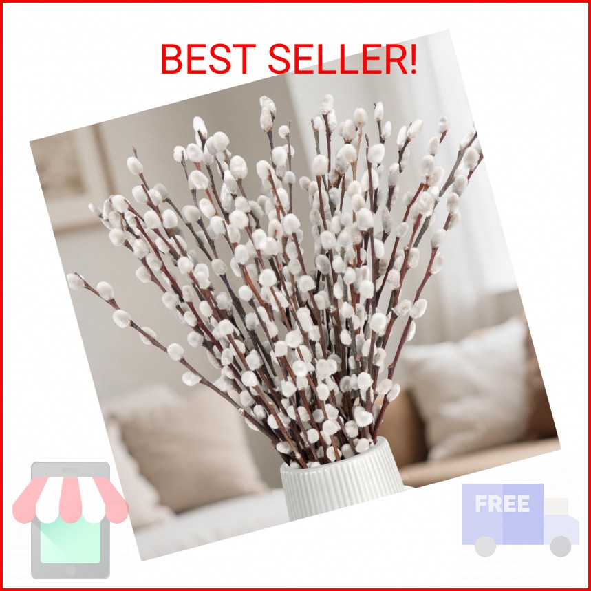 25 Stems Natural Dried Pussywillow Branches for Vases Decor, 15”-17” Real Pres