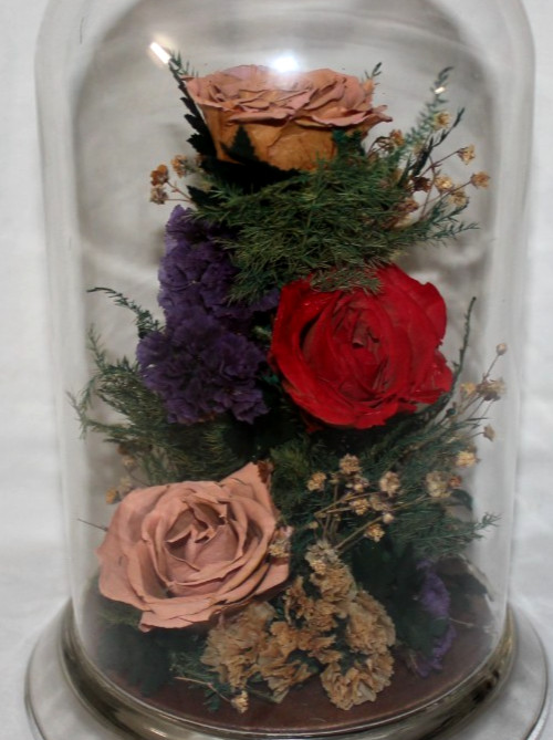 Natural Expressions – Real Freeze-Dried Rose Floral Arrangement in 8″ Glass Dome
