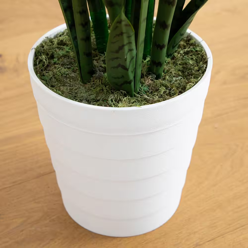 5 Ft. UV Resistant Artificial Sansevieria Plant in White Decorative Planter (Ind
