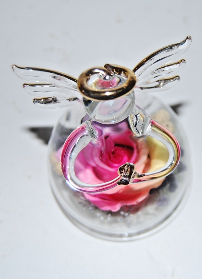 New Glass Angel Rose Gifts Preserved Rainbow Rose Flower in Glass Love Forever