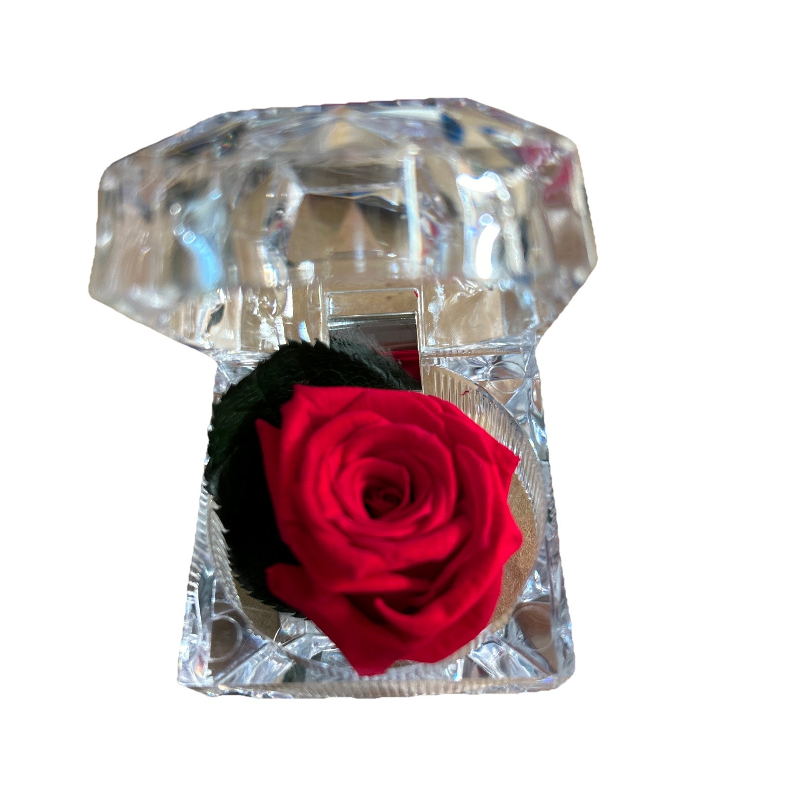 Verdissimo Preserved Eternity Forever Red Rose In Ring Box Valentine Proposal