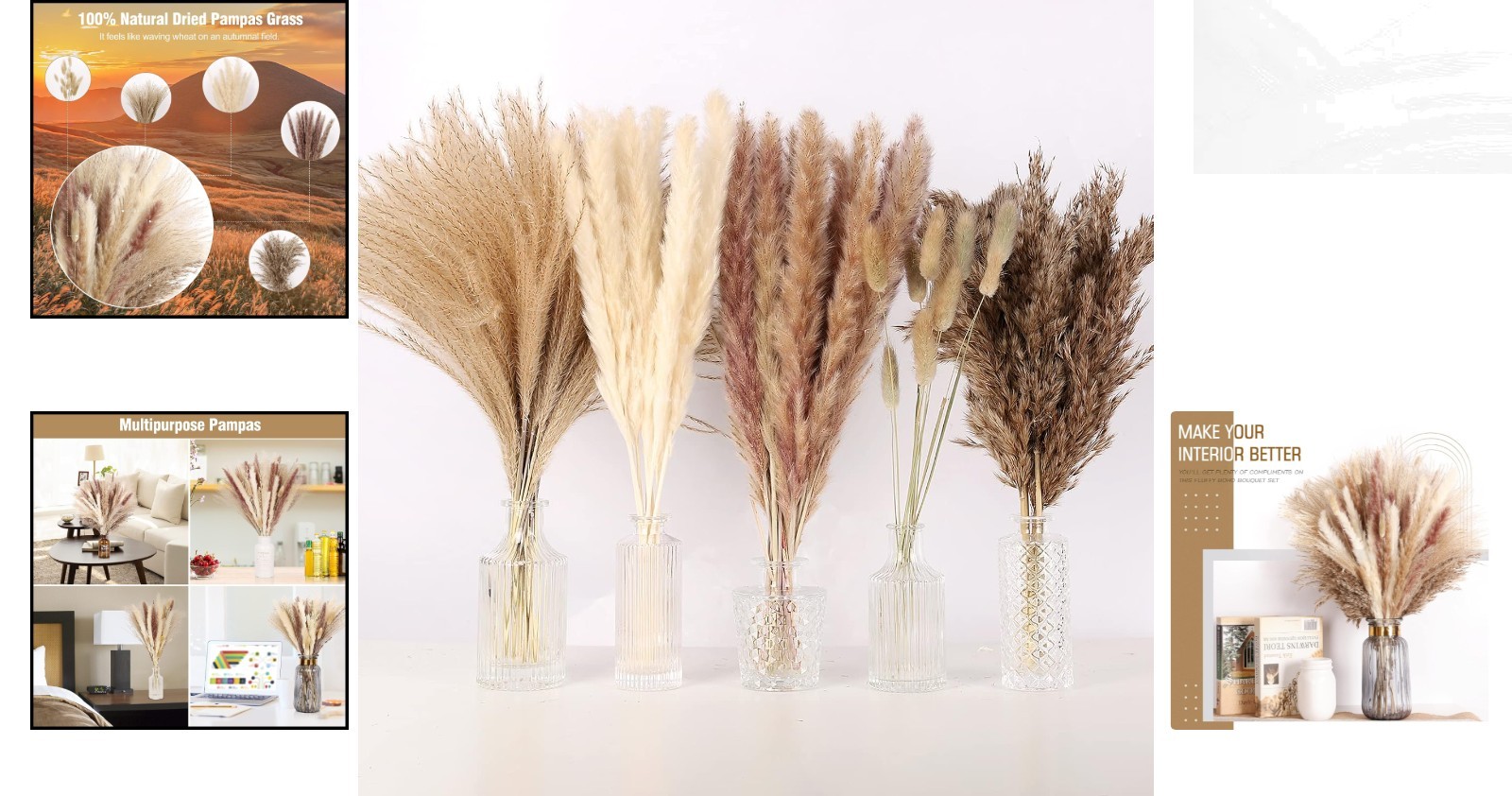 Stylish Dried Floral Collection – Pampas, Bunny Tails & Reeds for Timeless Decor