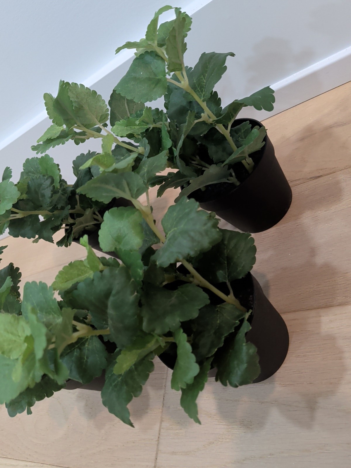 SET LOT OF 4 IKEA FEJKA Artificial Faux Fake Potted Plants Herb 302.341.68