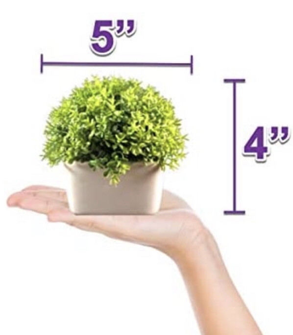 Peach Tree Farm Small Fake Plant Artificial Faux Greenery Clover with Tray