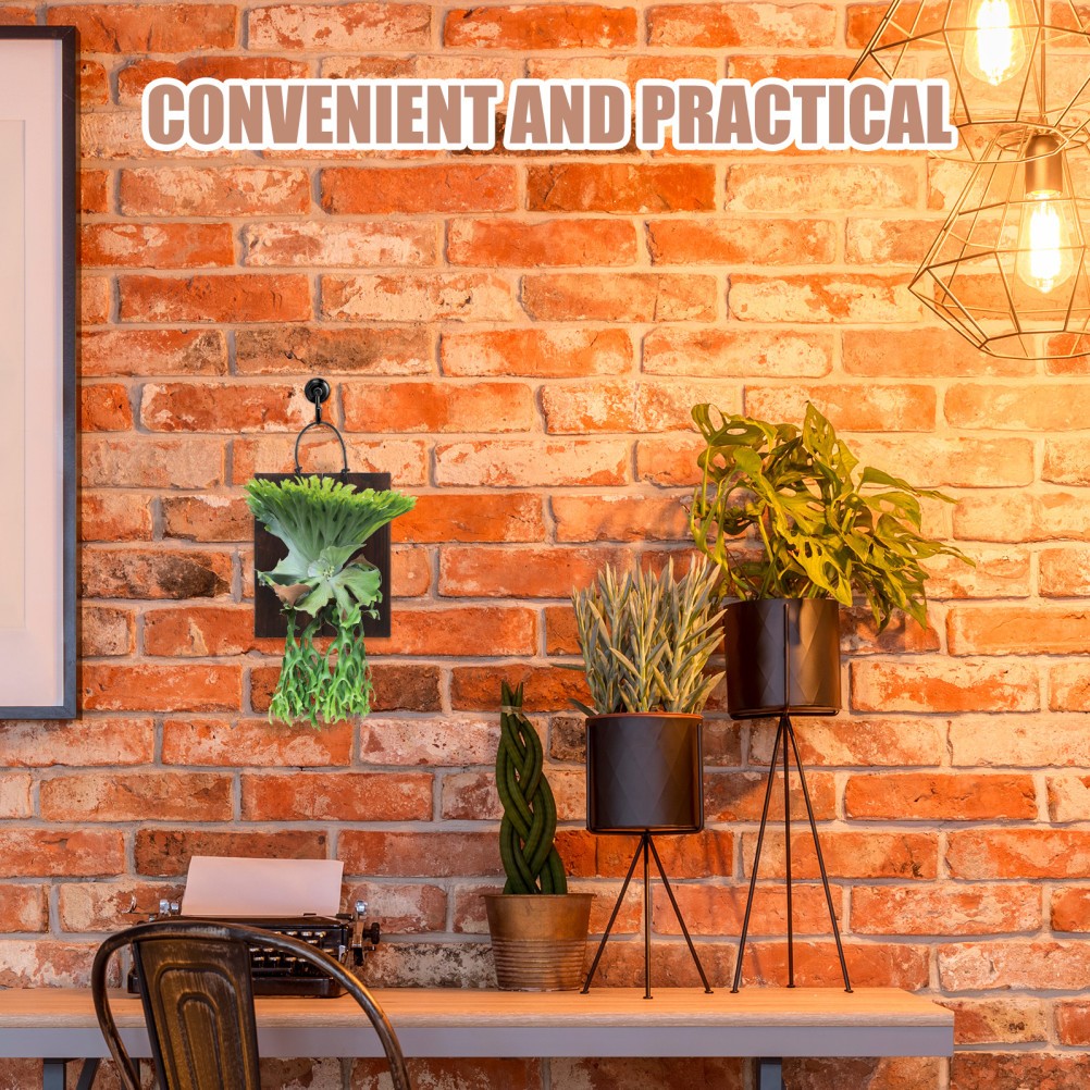 Fern Mount Kit: Decorative Wood Panel for Succulent –