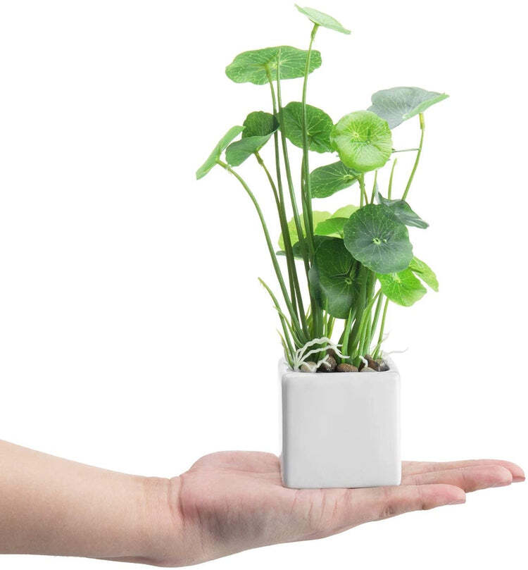 Artificial Assorted Plants, Greenery in White Square Ceramic Pots, Set of 3