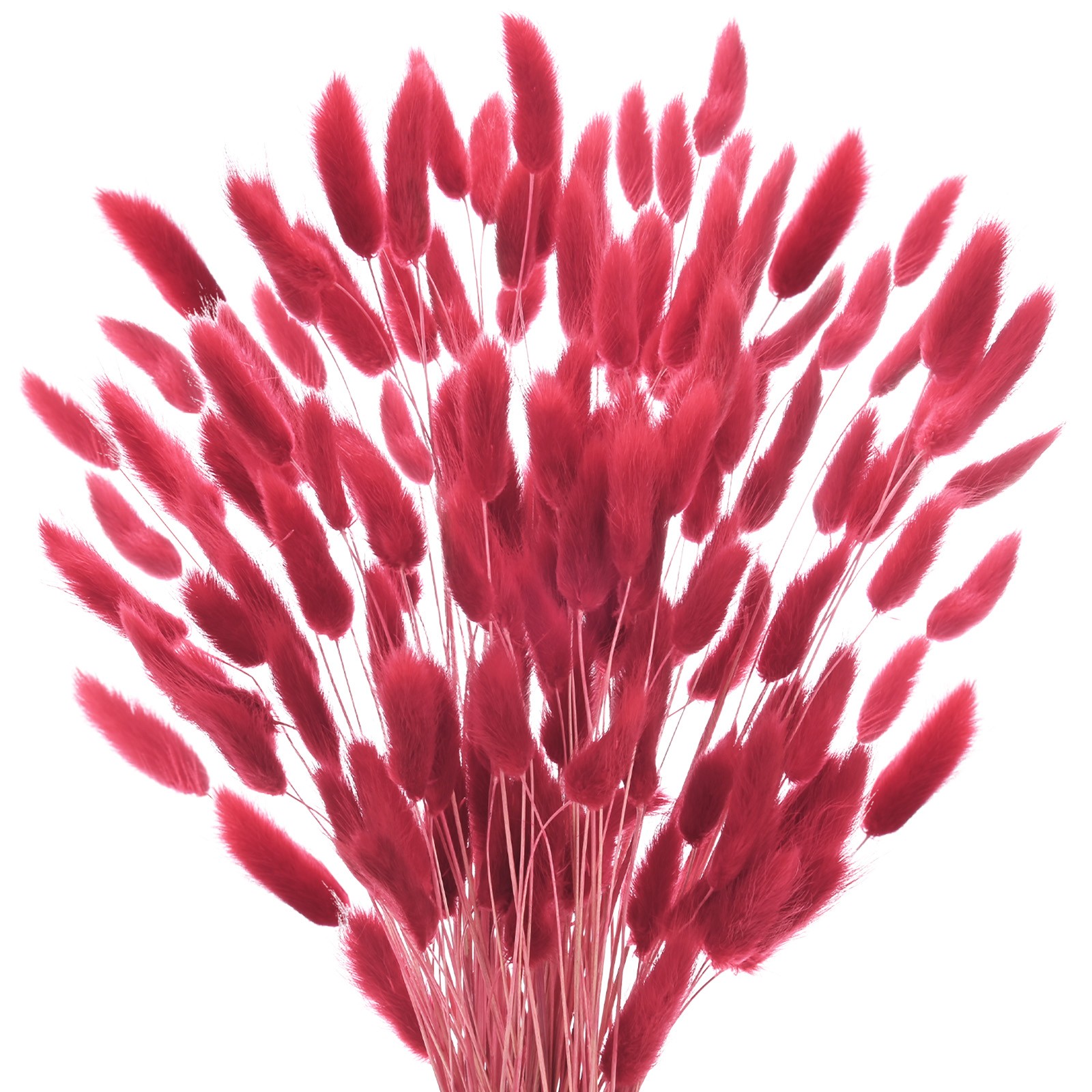 180-Pack Bunny Tails Grass 17 Inch for Home Decor/Wedding [Dark Red Brown]
