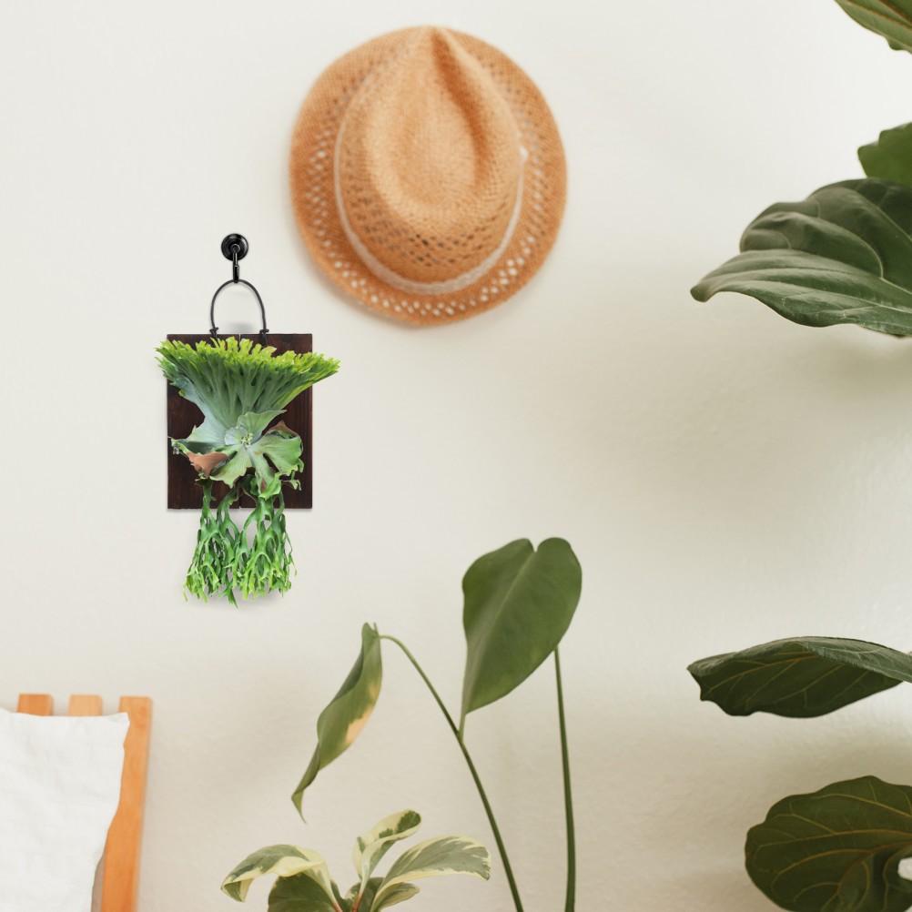 Fern Mount Kit: Decorative Wood Panel for –