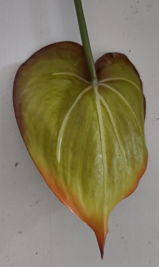 22″ Anthurium stem. Silk flower floral arrangements tropical Hawaiian flowers