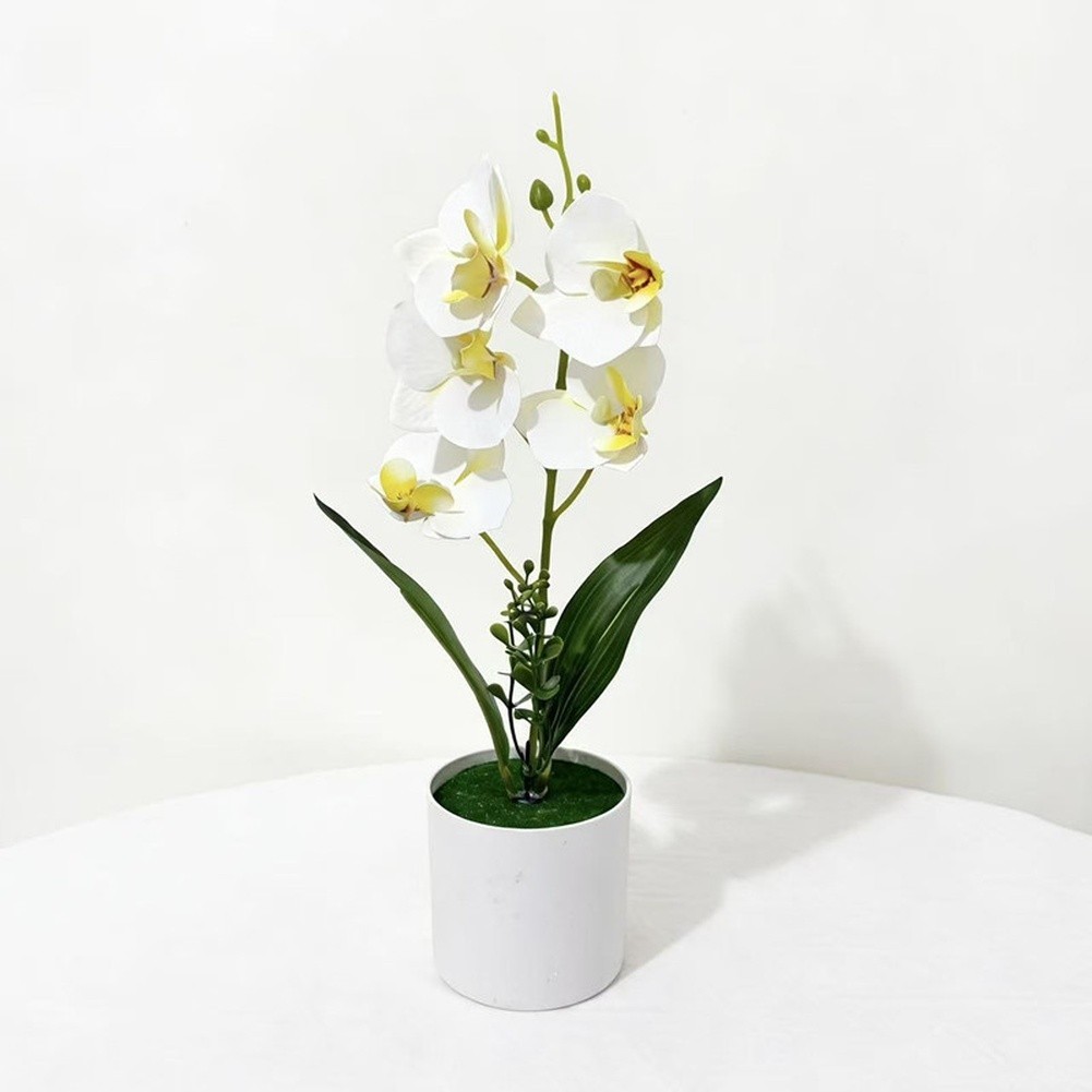 White Yellow Purple Blue Phalaenopsis Orchid Arrangement for Indoor Desk Decor