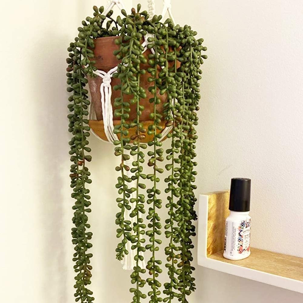 6pcs Artificial Fake String of Pearls Plant Faux Fake Hanging Succulents Plan…