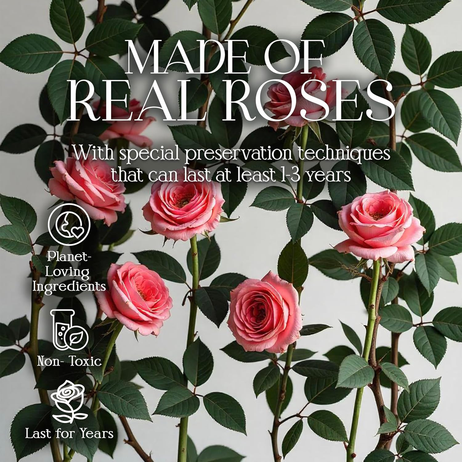 Preserved Roses in a Box – Gifts for Her, Wife & Mom, Rose Flowers Forever Decor