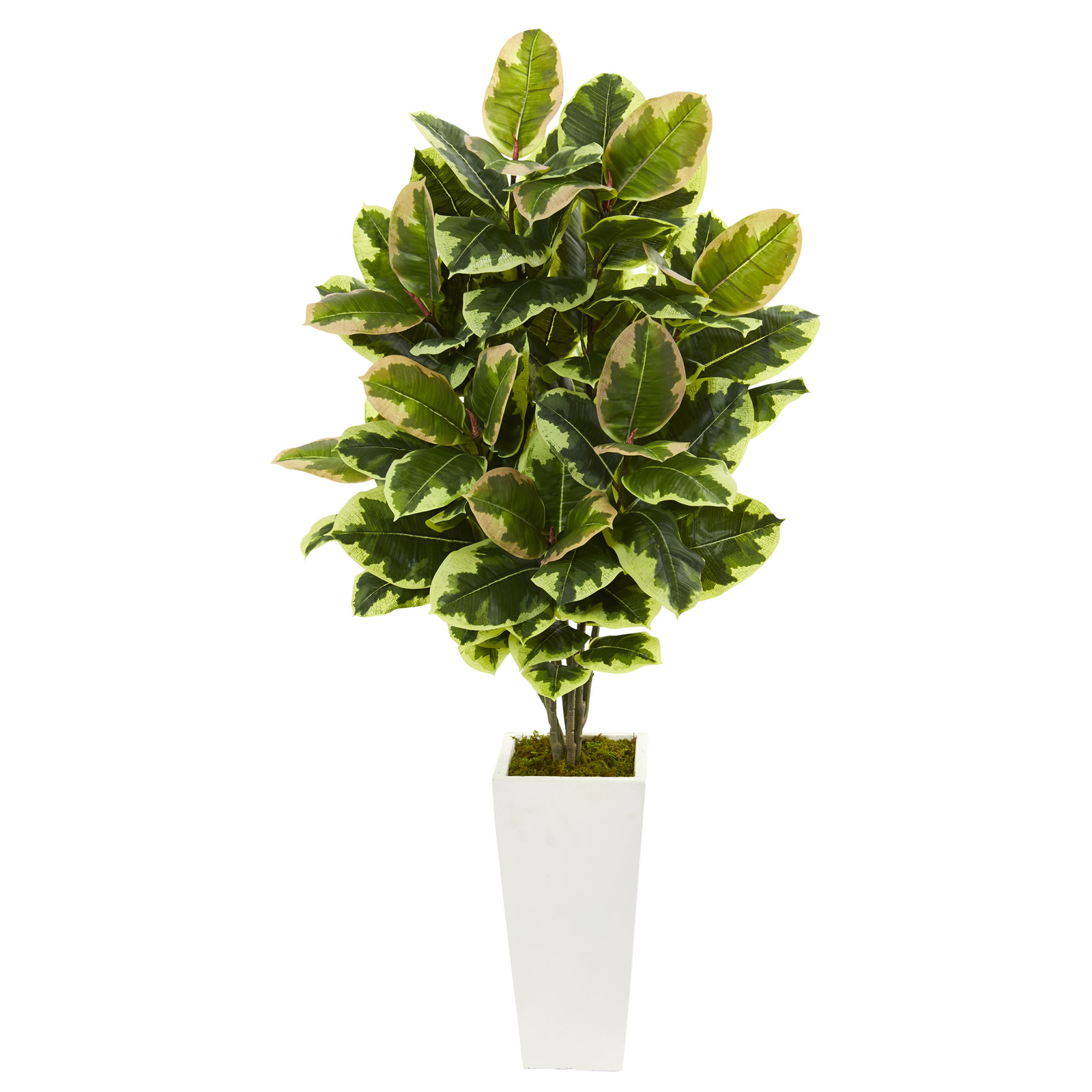 Variegated Rubber Leaf Artificial Plant In White Tower Vase Nearly Natural Decor