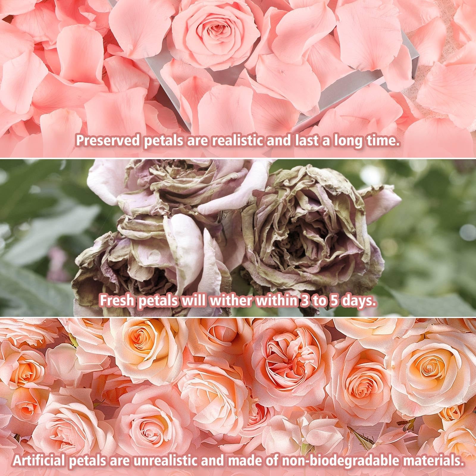 Dried Real Rose Petals 1.4 oz Pink Preserved Flower Confetti Wedding Decor