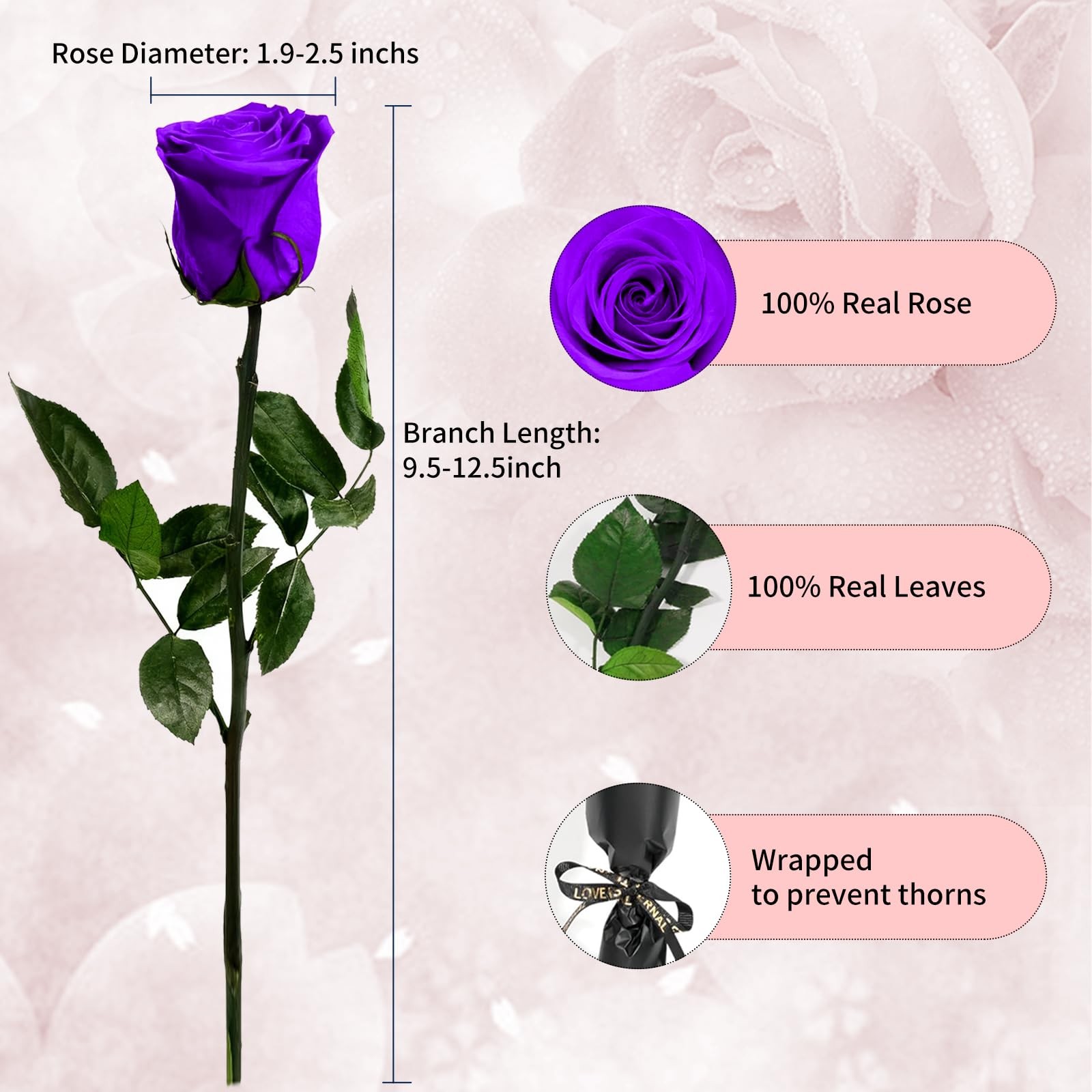 Purple Single Forever Roses Luxury Gift for /Men, Fresh Flowers Bouquet for G…