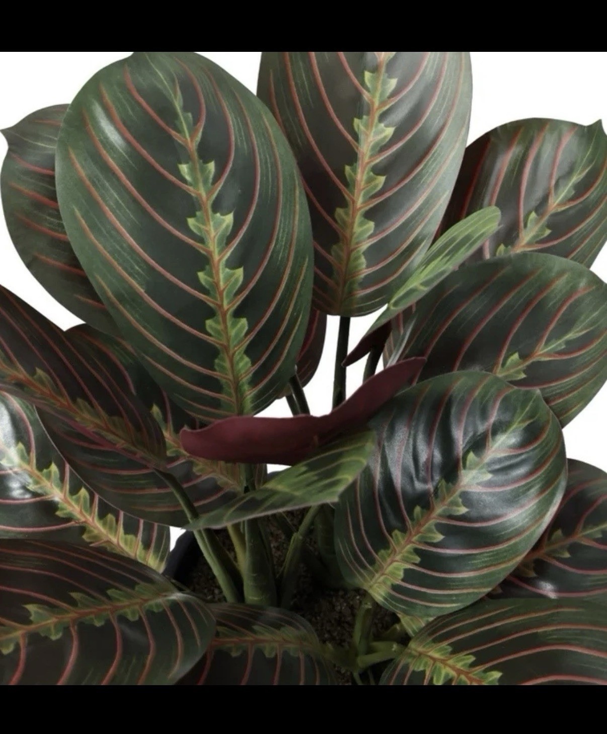 CGH Faux Decorative Plant Trio Indoor Greenery Home Office Decor NEW