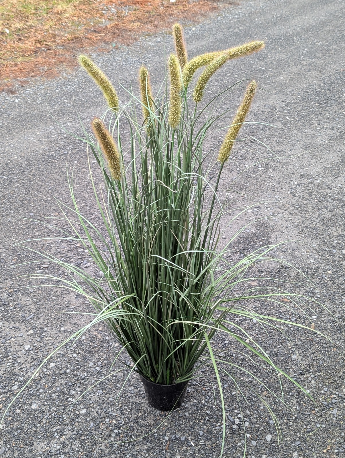 Artificial Grass Plant, 2 Pack 47 inch Horsetail Reed Grass in Pot