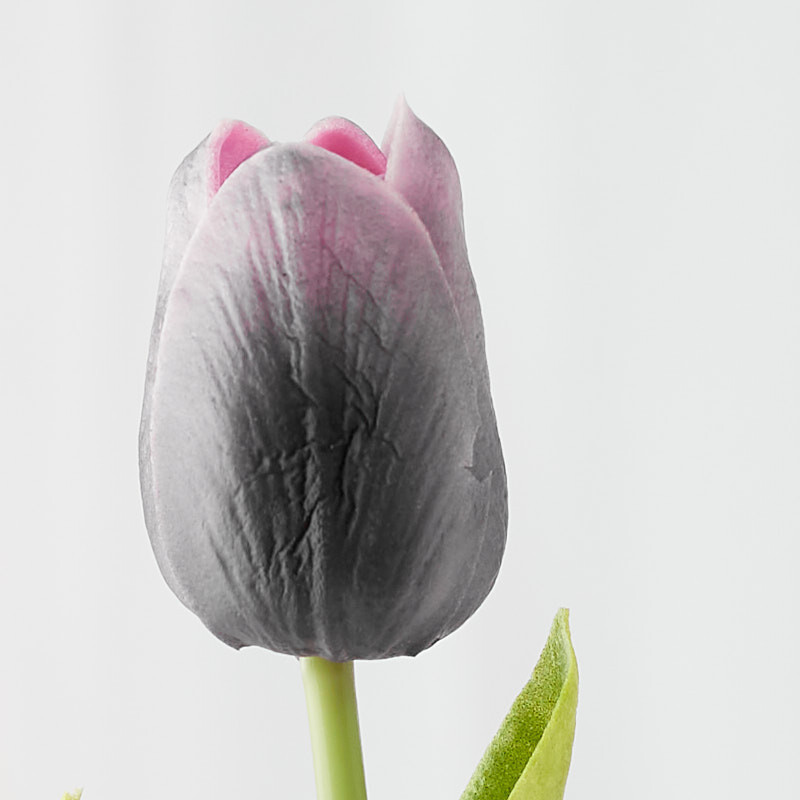Package of 6 Realistic Artificial Purple Tulip Stems