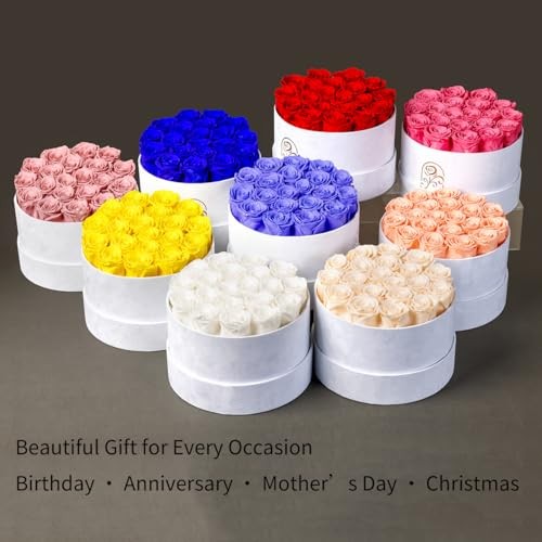 Gifts for Women Preserved Roses Flower Box, Luxury Velvet 20 Roses Peach Pink