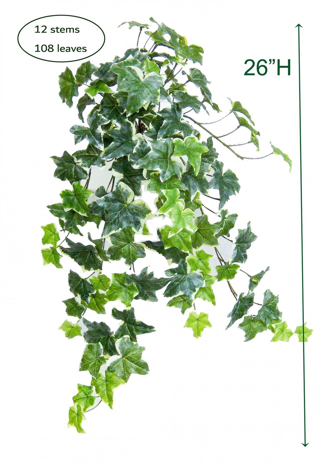 VARI. Green Real Touch Sage Ivy Hanging Bush , 26″ H, with 108 Leaves, 12 Stems