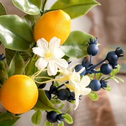 Packs Spring Summer Picks with Lemons Blueberry Eucalyptus Leaves, 4