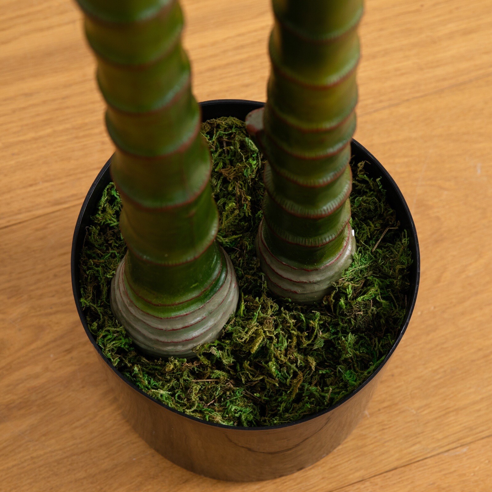 8’ Artificial Double Robellini Palm Tree UV (Indoor/Outdoor). Retail $239