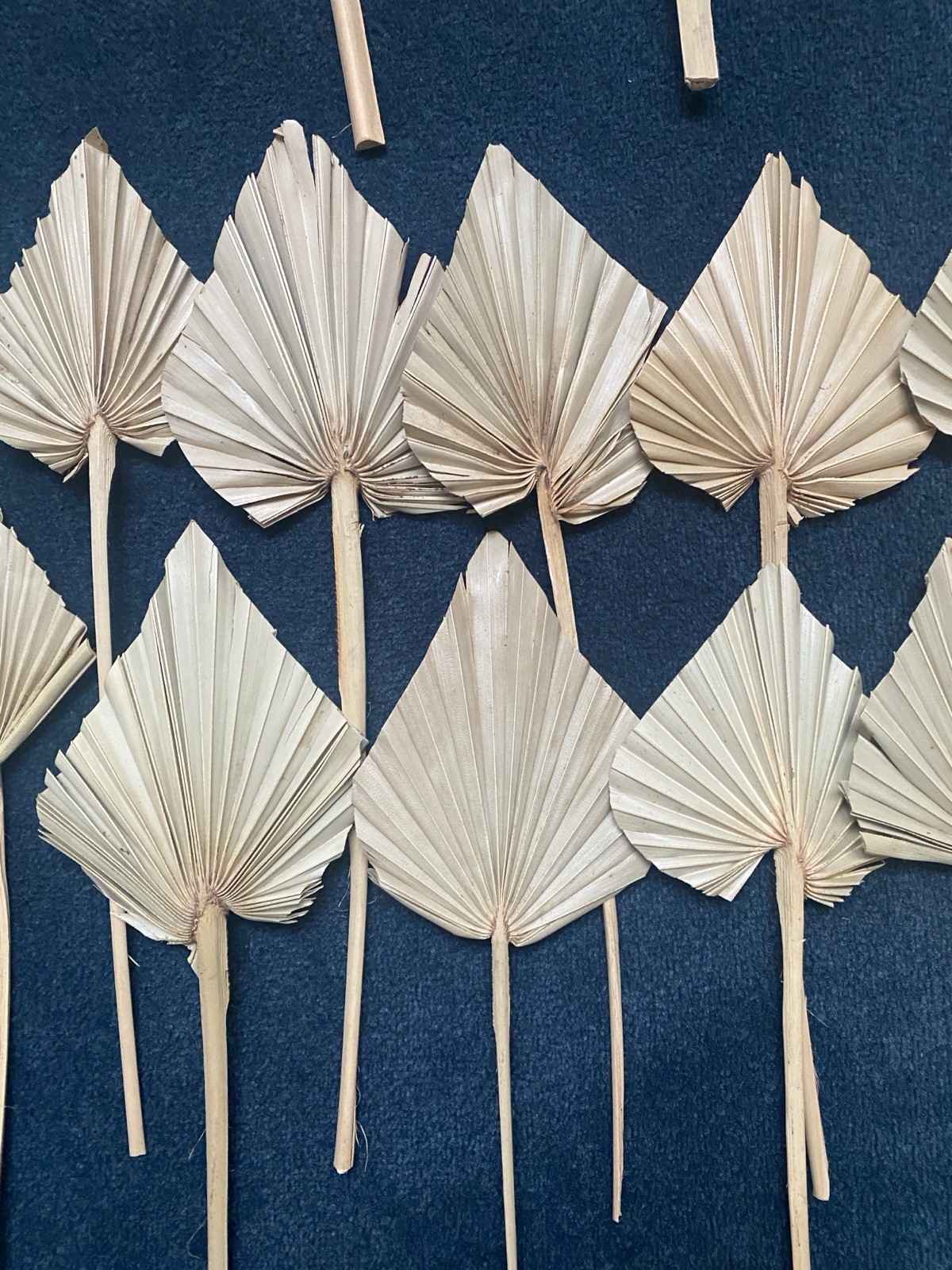 Lot Of 72 Dry Palm Leaves Natural Home Wedding Decor Boho, 42 Large, 30 Small