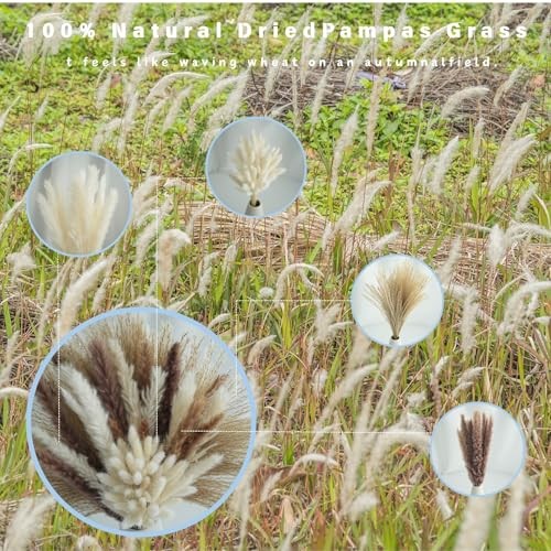 100 Pcs Natural Dried Pampas Grass & White Bunny Tails, 17″ Fluffy 100PCS-White