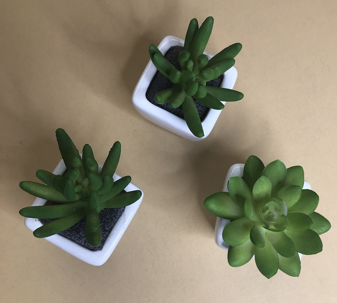 Set of 3 Plastic & Porcelain Succulents Green White 3×2 inches Each Fake Plants