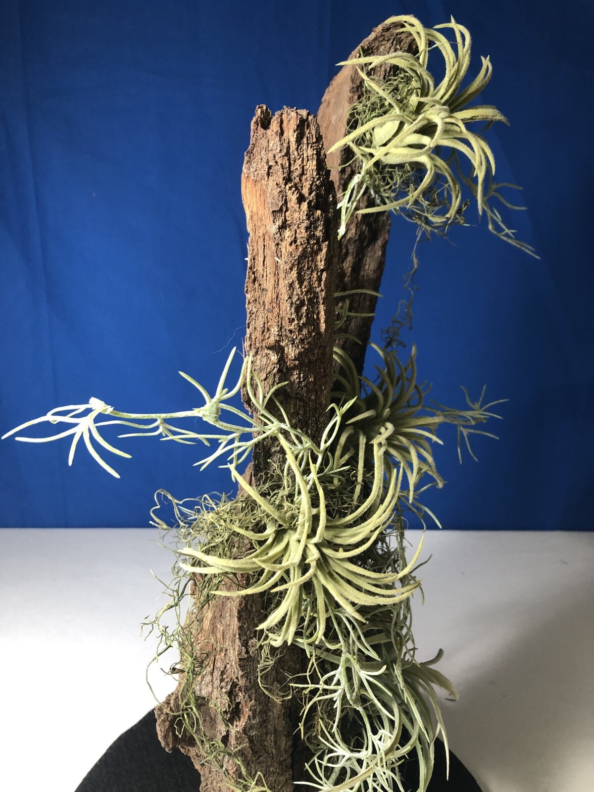 Artificial Succulent Air Plant Home Office Mounted on Real Wood Bark and Stone