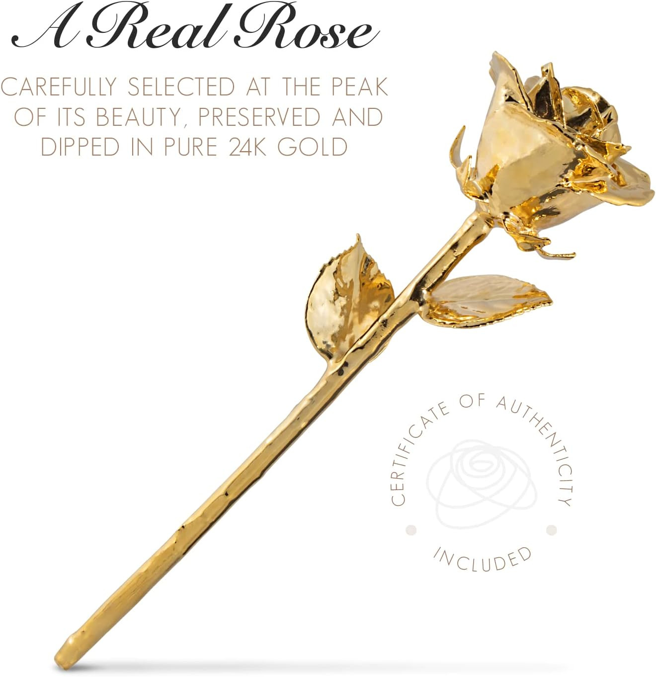 Bloom Box Bundle | a Genuine, One of a Kind Hand Dipped Gold Rose with Beautiful