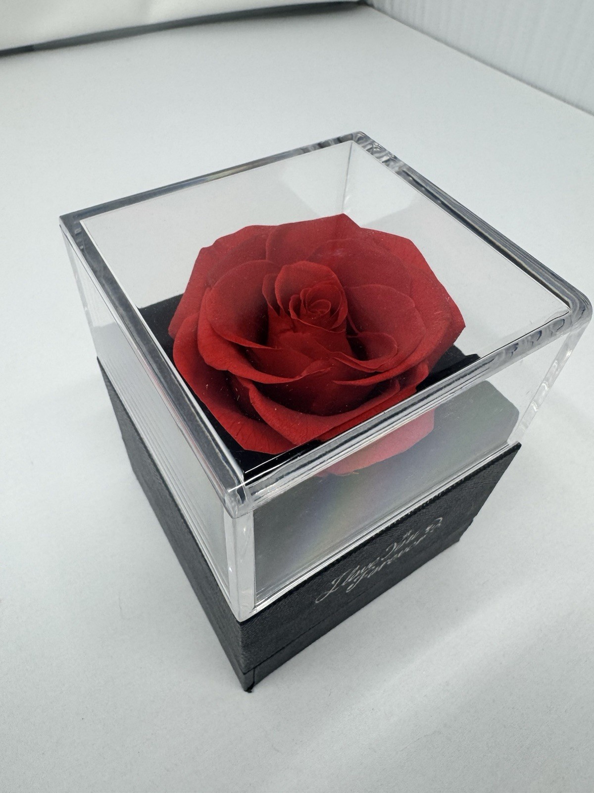 Preserved Red Rose in Acrylic Display Box Charcoal Gray “I Love You Forever”