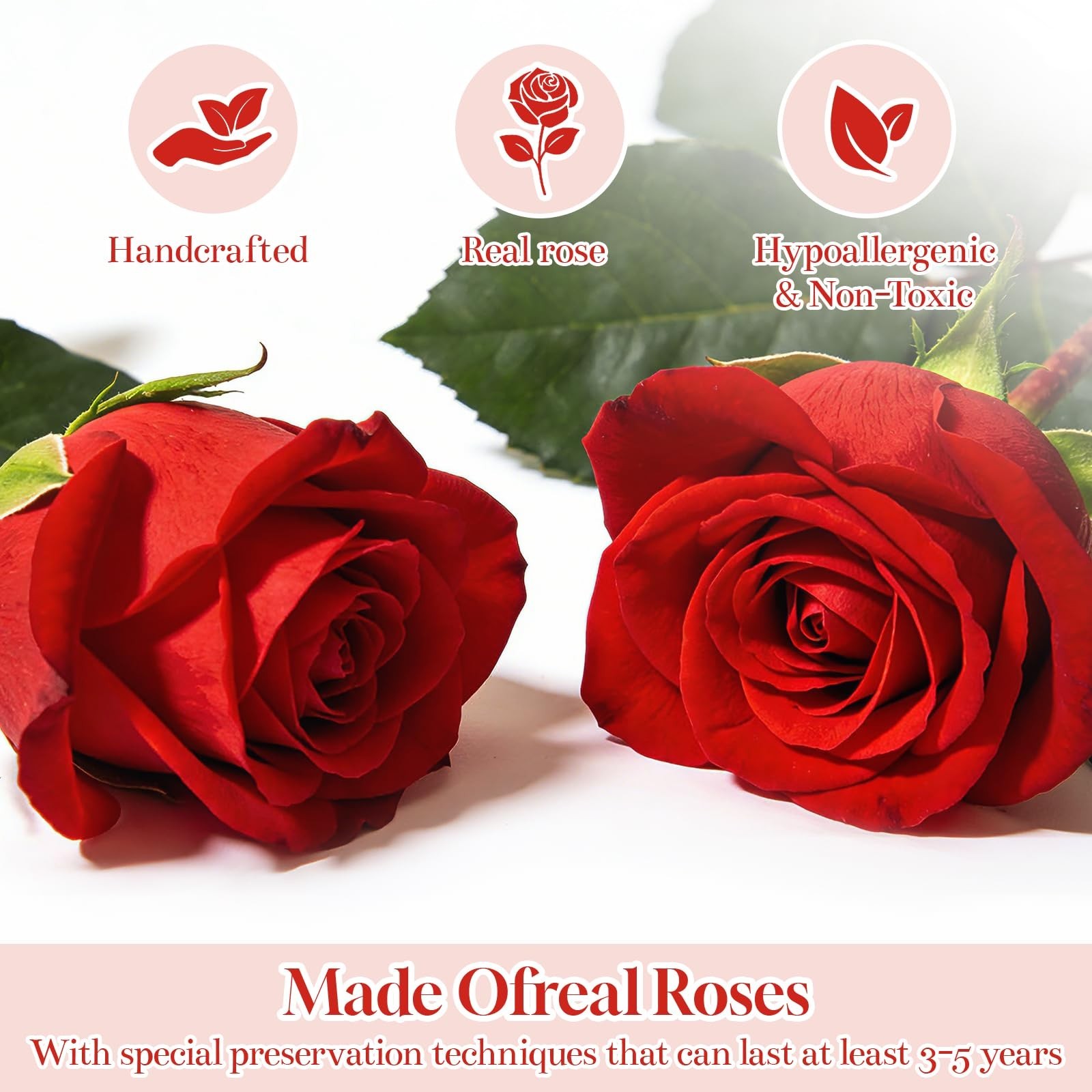 Forever Fresh Preserved Roses – 7.48in Floral Gift for Women, Mom, Wife, Birthda