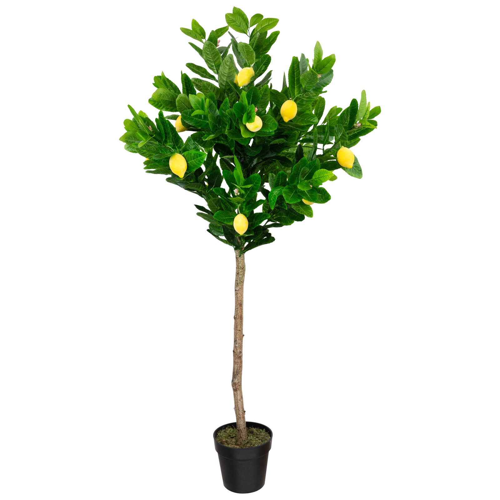 Northlight 57″ Potted Green and Yellow Artificial Lemon Tree