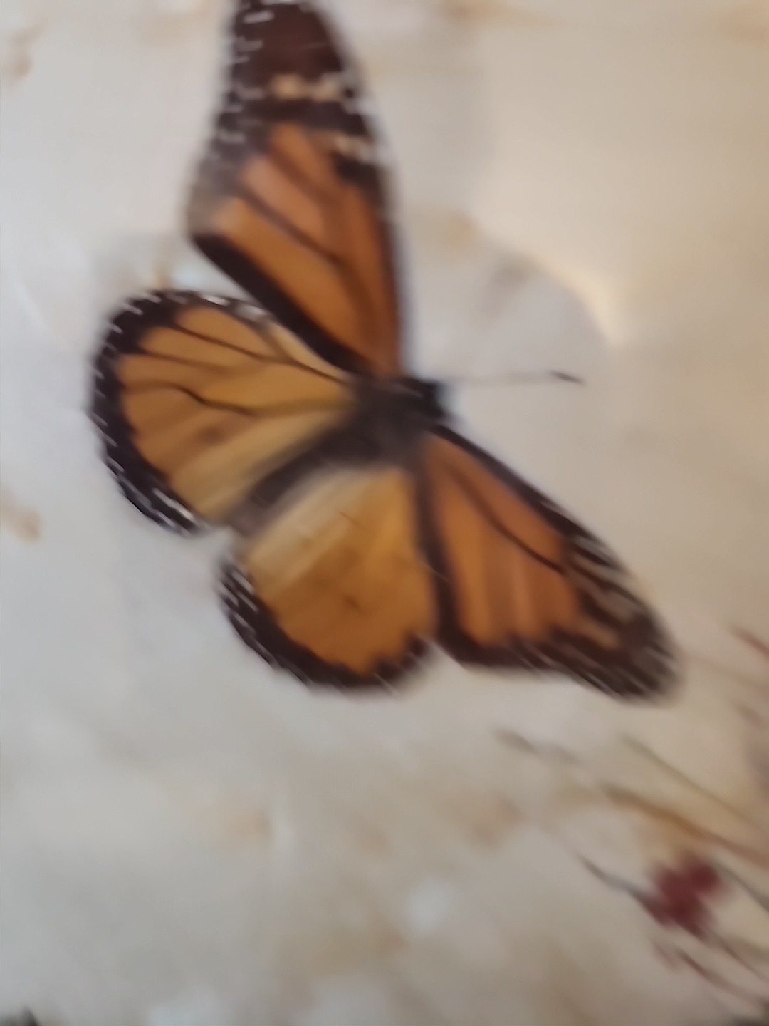 Vintage Butterfly Style Art Glass Tray W/ Stand