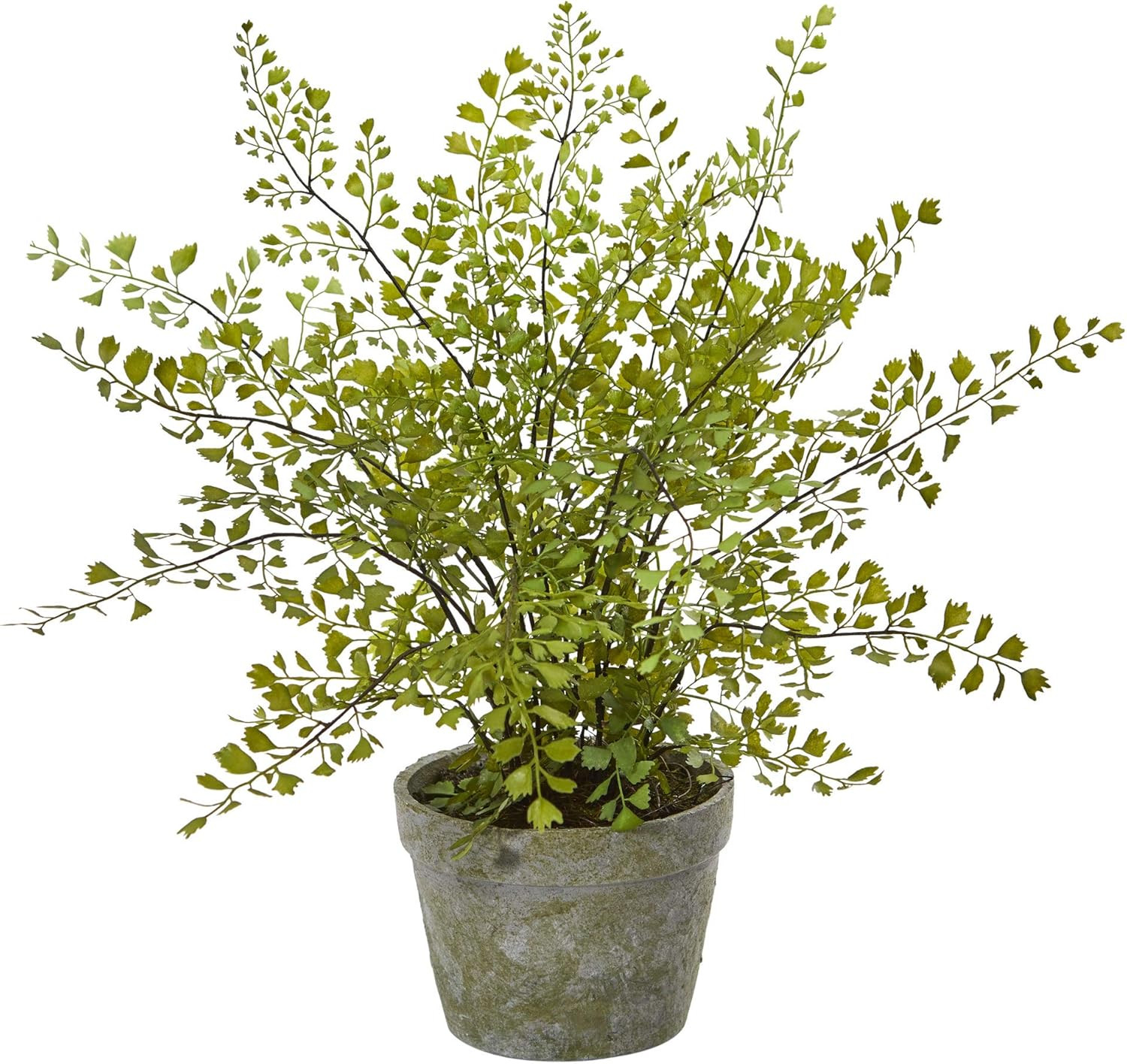 4251 Maiden Hair Artificial Plant in Planter Green Small