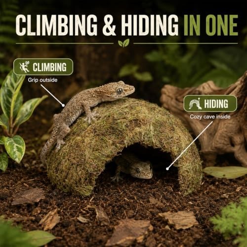 17 Pc Reptile Tank Accessories Moss Plants Suction Cups Decor